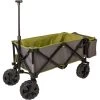 Safarica Caprice Deluxe Strandtrolley Grijs Groen 1 Safarica Caprice Deluxe Strandtrolley Grijs Groen -Lafuma-Winkel 116123 900 01 1